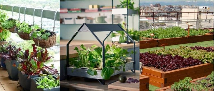 20221-Huertos Urbanos