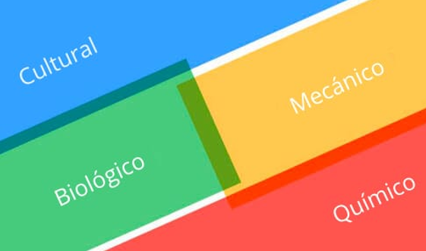 20221-Manejo Integrado de Plagas y Enfermedades